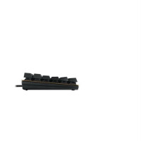 CHERRY Keyboard KC 200 MX MX2A BROWN [DE] black/bronze MX2A 