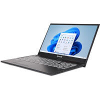 TERRA MOBILE 1516R i3-1315U W11