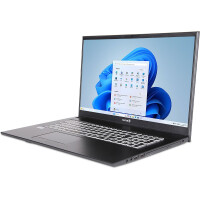 TERRA MOBILE 1716R; 500 GB PCIe  gallery 11_2nd